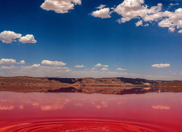 برنامهریزی سفر سهروزه به شیراز بدون نیاز به تور